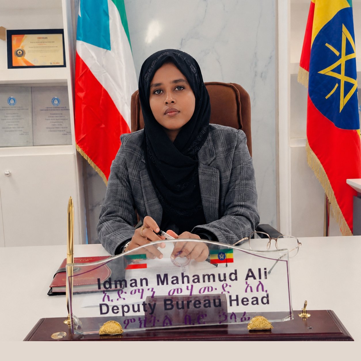 H.E. Idman Mohamed Ali